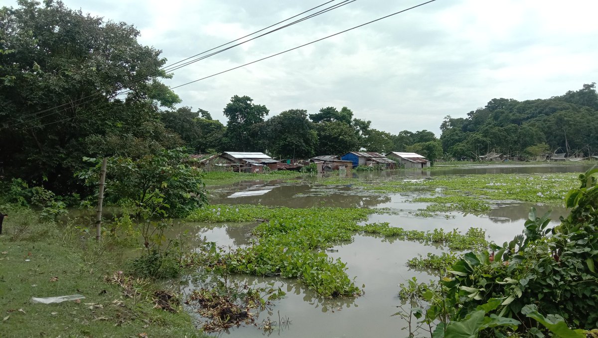 Pabitra_Borah_'s tweet image. শোণিতপুৰ জিলাৰ লগতে অসমৰ বিভিন্ন প্ৰান্তৰ লোকে বৰ্তমান আকৌ বানৰ মুখামুখি কৰিব লগা হৈছে । লখিমপুৰ , ধেমাজী, মাজুলিকে ধৰি বানে সকলো দিশৰ পৰিস্থিতি ভয়াবহ কৰিছে আৰু বহুতো ক্ষতি হোৱা দেখা গৈছে।।
#HimantaBiswaSarma 
#Pallablochandas 
#CMoassam 
#AssamFlood