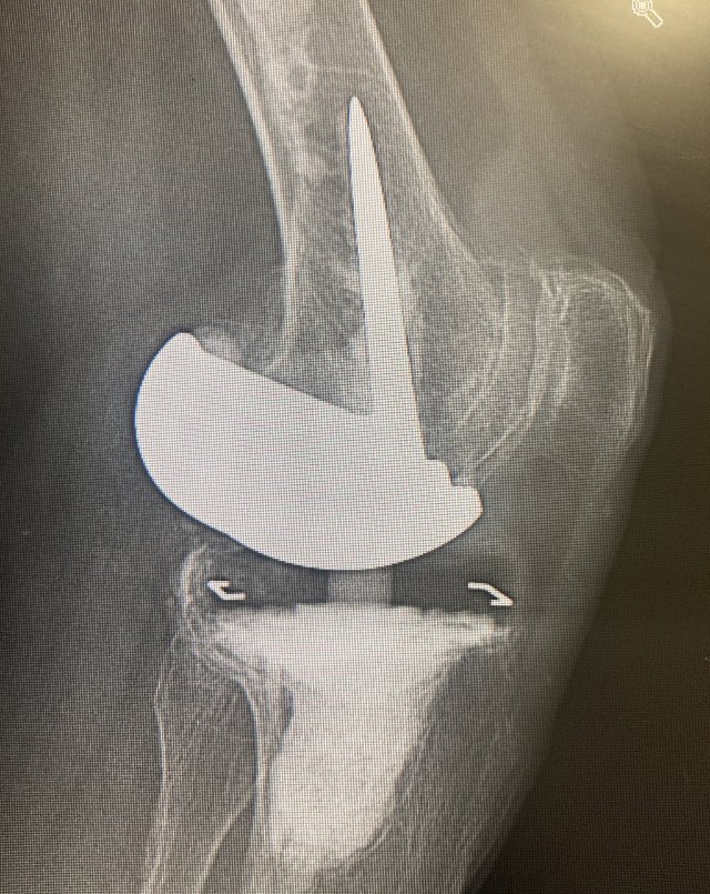 disasterplasty tweet media