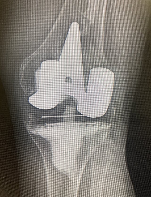 disasterplasty tweet media