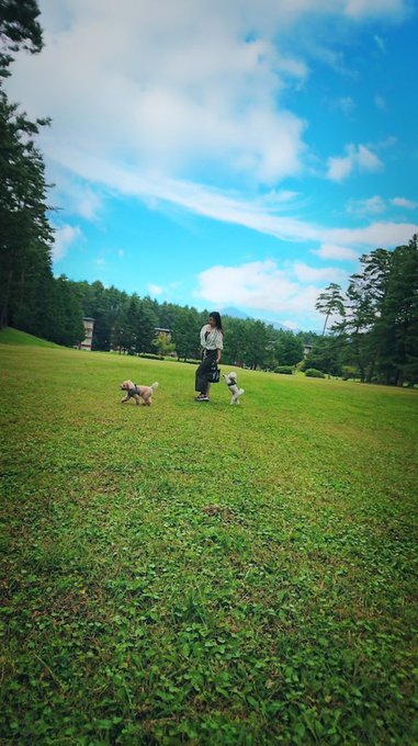 自然溢れる広大なドッグラン🐩🐕 元々はゴルフ場だったらしい⛳️ 広すぎる😬 https://t.co/o7uUmnE6Xe<a href="/tag/%E3%83%9E%E3%82%B8%E3%82%A7%E5%80%92%E7%94%A3"class="tags"><span>#マジェ倒産</span></a>