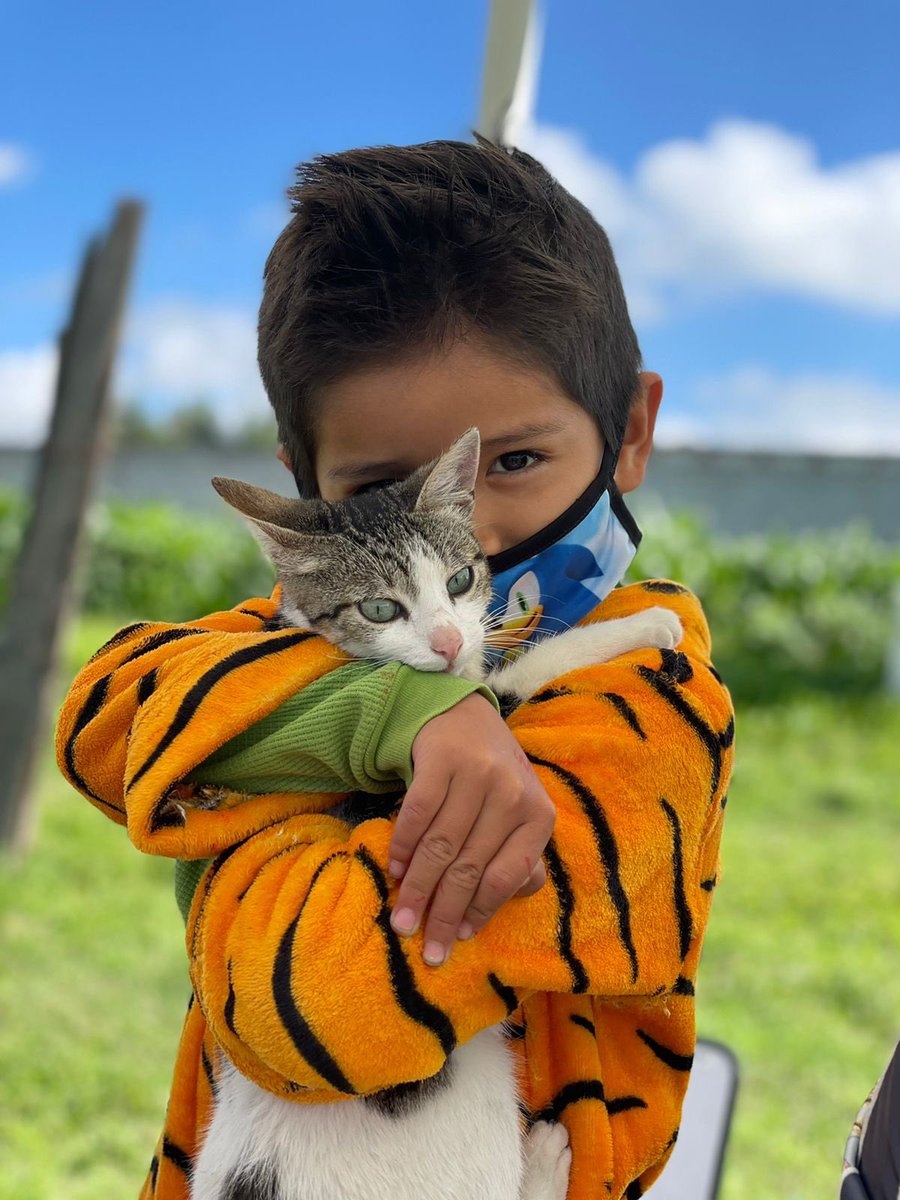 TesaRomero's tweet photo. Hay muy pocas cosas en mi vida de las que me siento orgullosa.
Pero el haber iniciado este pequeño proyecto ha sido la que más lo ha valido y me enorgullece tanto que se me desborda el corazón.
No se si yo haya tocado sus corazones, pero ellos si han tocado el mío. https://t.co/JSq80oiQHs