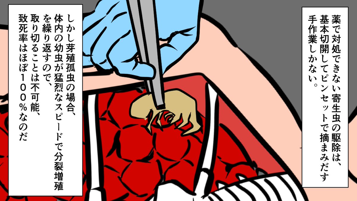 雑学王子トリビアーン Youtubeマンガ動画 على تويتر 虫を殺すよりも人間を殺す方がはやいって 漫画 雑学 漫画動画 Comic Manga Animation Illustration イラスト イラスト好きな人と繋がりたい Cartoon Youtube 寄生虫 感染 T Co Yqmvzxqrch
