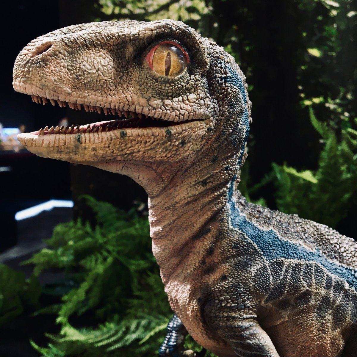 Prime 1 Studio (プライム1スタジオ) on X