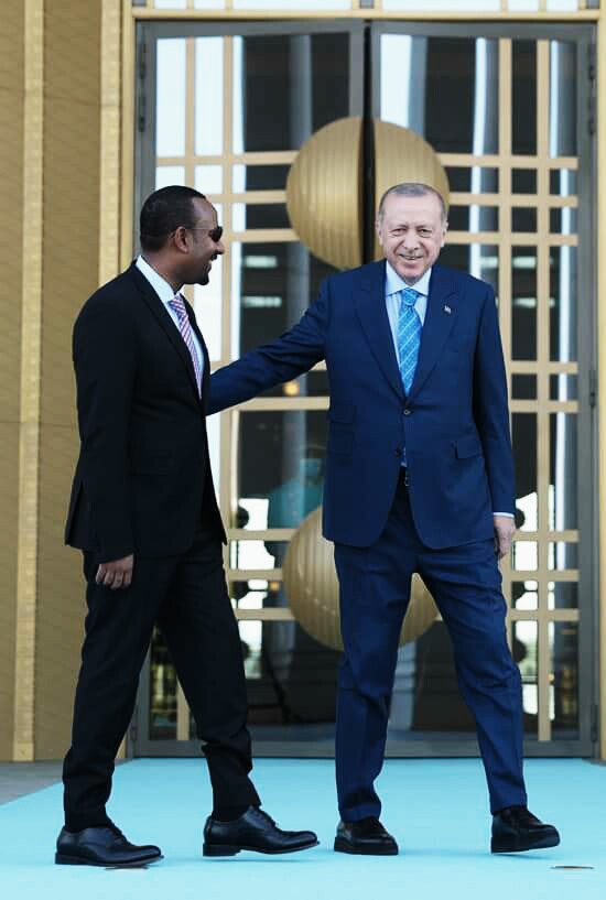 almaw_lamesgin's tweet photo. I have no words to express Turkeys  suportiveness and good diplomatic brothers https://t.co/PEkgZn9zig
