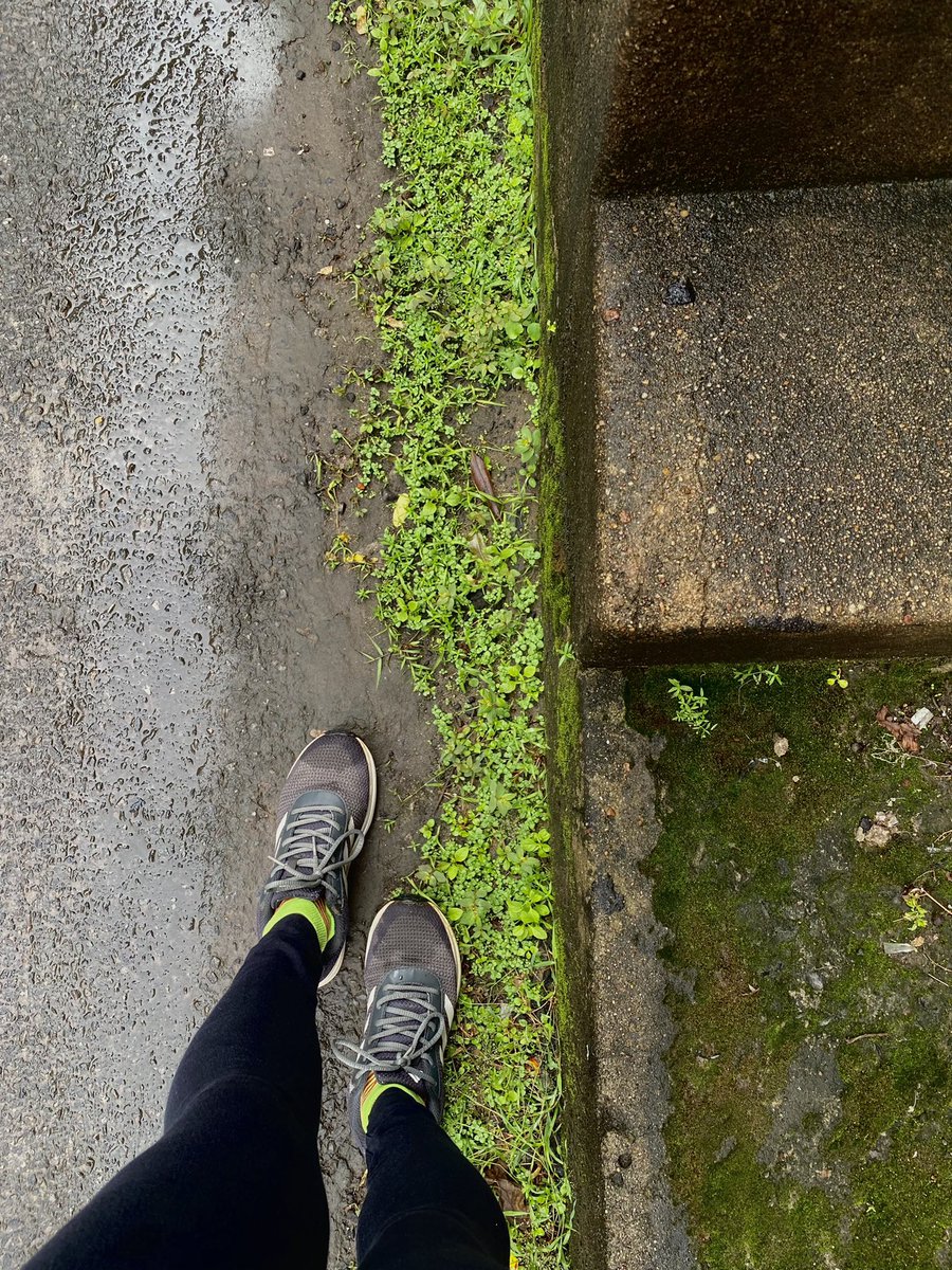 gopikanandu's tweet photo. Sunday run 🏃‍♀️ #trivandrum #mycity #morningrun #lockdownsunday https://t.co/0KYaTHpeJO