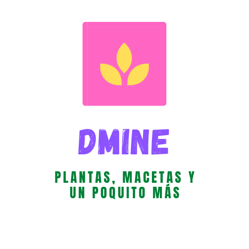GenesisComMx's tweet photo. #Recomendación 🔴 #DMINE es un lugar donde encontrarás plantas para darle vida a tu oficina y casa, además de creativas macetas y ¡más! Dirección: Av. Cuauhtémoc 108-B Colonia Las Quintas #Cuernavaca
Si nos mencionas, te harán un descuento en primera compra. Búscalos en Facebook https://t.co/uIe7vUu9cG