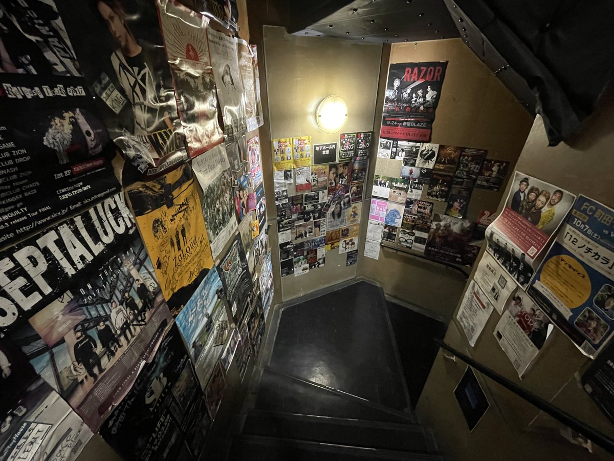 最速 シャムシェイド タトゥー 犬