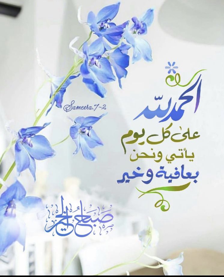 💙Hamad💙 tweet media