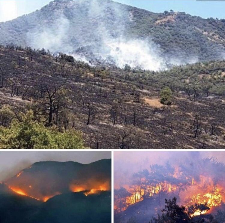 DERSİM
YANIYOR

DERSİM
YANIYOR

DERSİM
YANIYOR

DERSİM
YANIYOR

DERSİM
YANIYOR

DERSİM
YANIYOR

DERSİM
YANIYOR

DERSİM
YANIYOR

DERSİM
YANIYOR

DERSİM
YANIYOR

DERSİM
YANIYOR

DERSİM
YANIYOR

DERSİM
YANIYOR

DERSİM
YANIYOR

DERSİM
YANIYOR

DERSİM
YANIYOR

DERSİM
Y

#DersimYanıyor