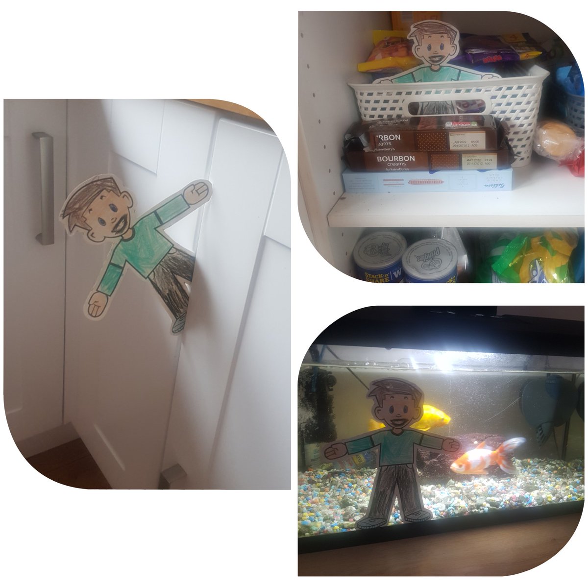 MichColl1985's tweet photo. @MrsEBartley Flat Stanley has enjoyed a rummage in our treat cupboard and tried to slide into the fish tank! 🍪🍬🐠 https://t.co/MbSgxFu958