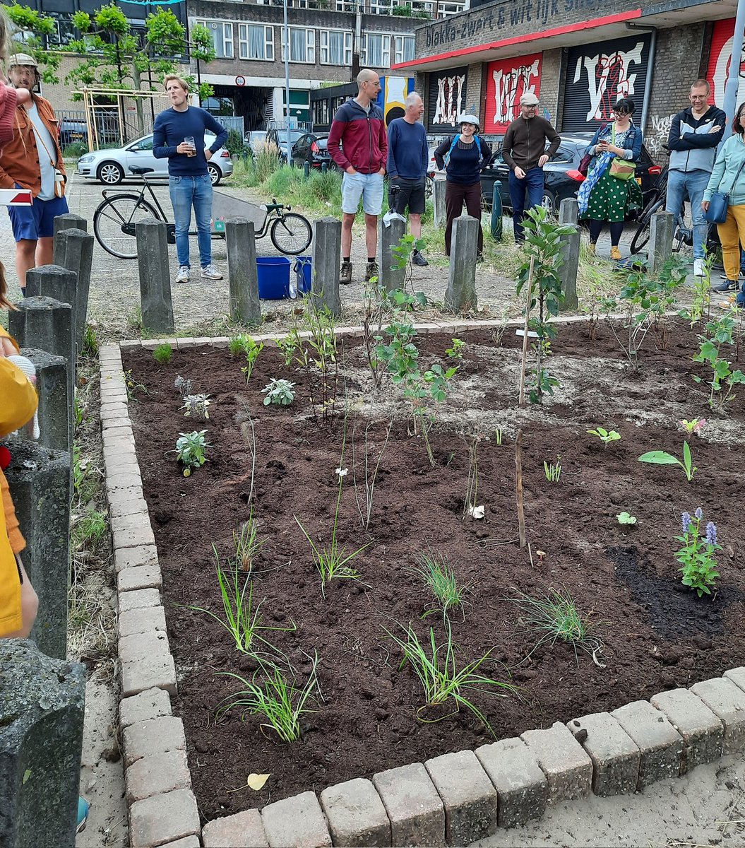 michielminded's tweet image. Mooi optreden van @timknol gisteren bij @PdeBoemBoem en daarna fietsen langs de mooie groene projecten in Noord over o.a. GroenNoord, Schepenstraat en Stadskwekerij De Kas. En nieuw minivoedselbossie dat gisteren is gemaak. #noord010 #parfumdegroengroen #biodiversiteit