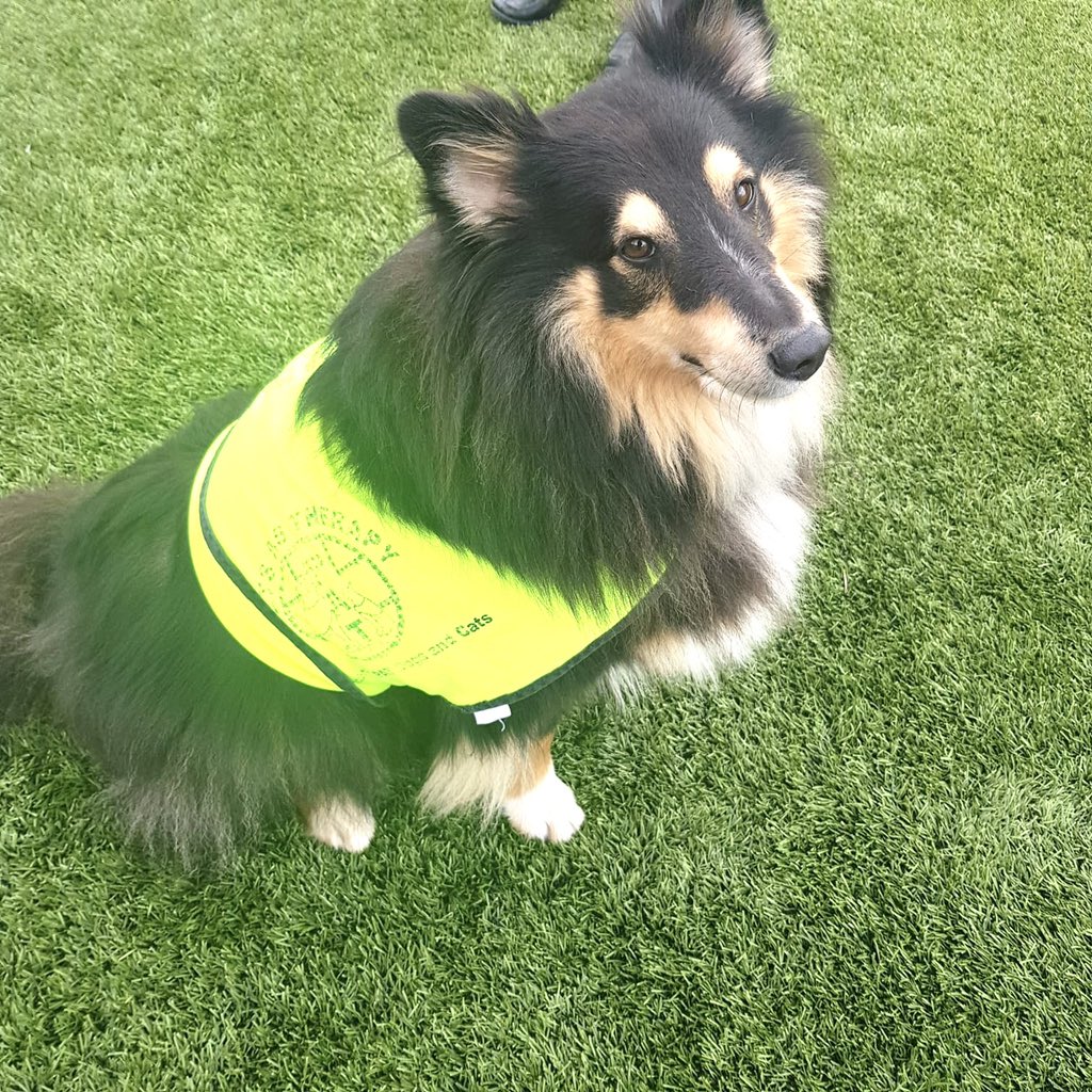 JamiPeople's tweet photo. Good luck to Sarah and Rolo, her @PetsAsTherapyUK dog, who are running for #TeamJami at the @MGBCFR to help us raise funds for #mentalhealth. ๐๐โโ๏ธ
Weโre cheering you on and will see you at the finishing line! https://t.co/RSsn6SsIVJ