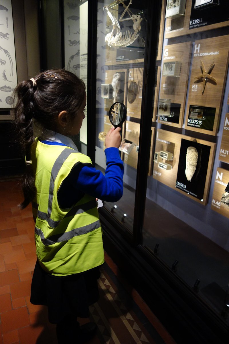 MM_Connects's tweet photo. Manchester Museum may be closing ... but the team is still busy enough to be recruiting! We're hiring a full time Learning Programme Assistant for 2 years, to work with schools in our Inflatable Museum and on-site as we reopen next year. Could this be you??https://t.co/Khn9VwbDGu https://t.co/FAxQYNhYMx