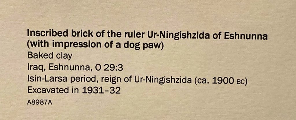 Today’s hero is the ancient dog who decided he would stamp this brick with his paw right beside the official impression of King Ur-Ningishzida of the city-state Eshnunna in Mesopuptamia (c.1900 BCE).

OI A8987A