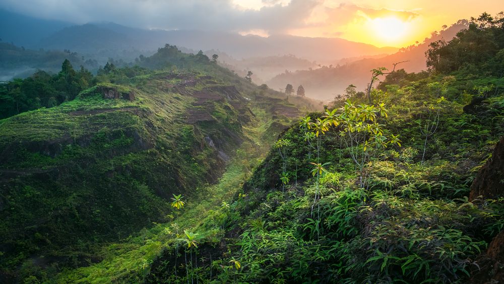 UN Environment Programme tweet media