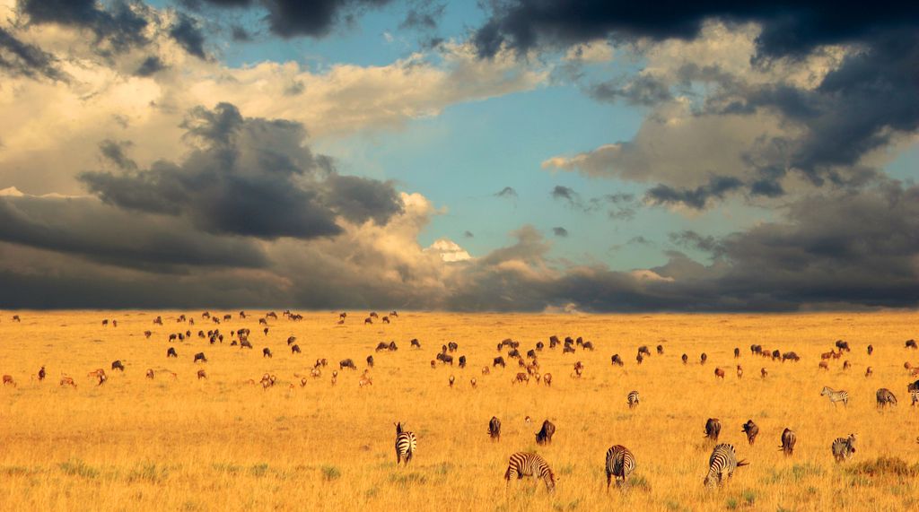 UN Environment Programme tweet media