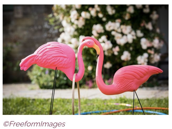 If there’s one supplier to Ash Barton whose name crops up again and again, it’s Katie at Best Day Ever.

Head over to our blog to read all about safety pins, pink flamingos and much more.. ashbarton.com/blog/best-day-…