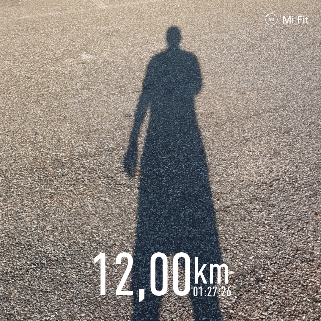 themogi79's tweet image. #trytoCatchMe 🧡❤🏃‍♂️🏃‍♂️