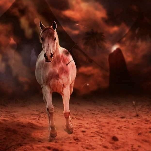 islamious's tweet photo. What happened to Zuljanah after Martyrdom of Imam Hussain(a) ? https://t.co/ruo5tA6sa0