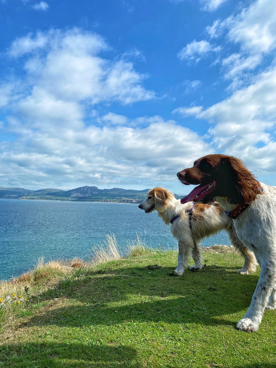 What a blooming ace holiday! Stunning location, beautiful weather, the best family time! All recharged and ready to go for new year! Thank you <a href="/abersoch/">Abersoch</a> #family #holiday #recharged