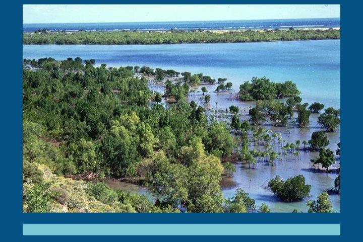FranceMaputo's tweet photo. Por ocasião da presidência francesa 🇨🇵da @commission_coi, 2021 é o ano da economia azul em #Moçambique e nos países da região: Descubra as acções e projectos realizados em 🇲🇿 🐬🚣♀️🐟.👉https://t.co/Mi2ybSTdVg
#blueeconomy, #crescendoazul
@ctvmozambique, @ird_fr https://t.co/o8RGidOTno