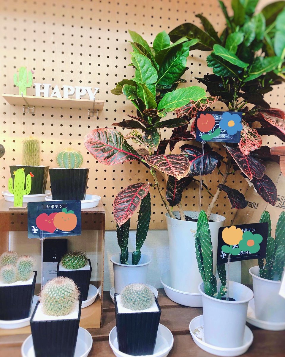 黒沢生花店 Kurosawaflower Twitter 黒沢生花店 Kurosawaflower Twitter