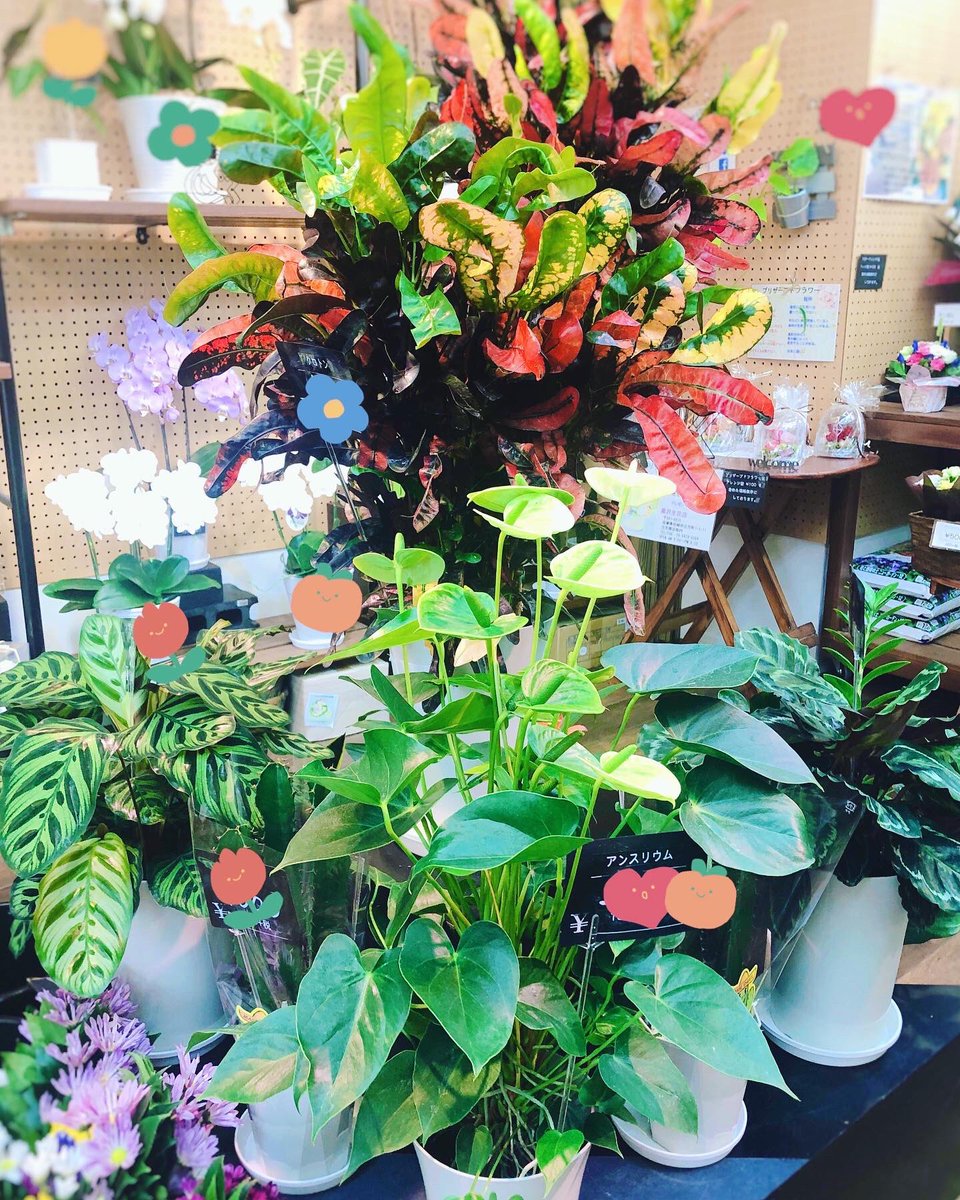 黒沢生花店 Kurosawaflower Twitter 黒沢生花店 Kurosawaflower Twitter