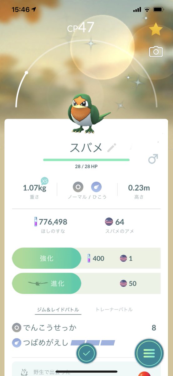 ポケモンgo スバメの色違い 入手方法と実装状況 攻略大百科