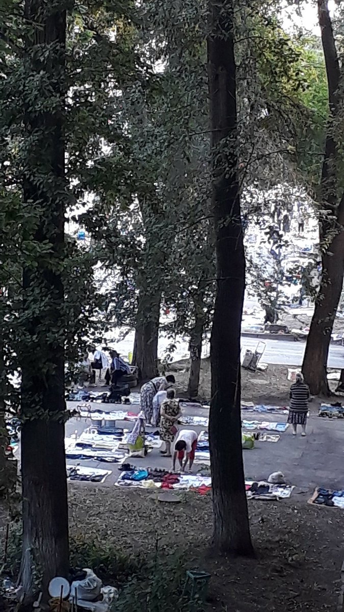 Юлия tweet media