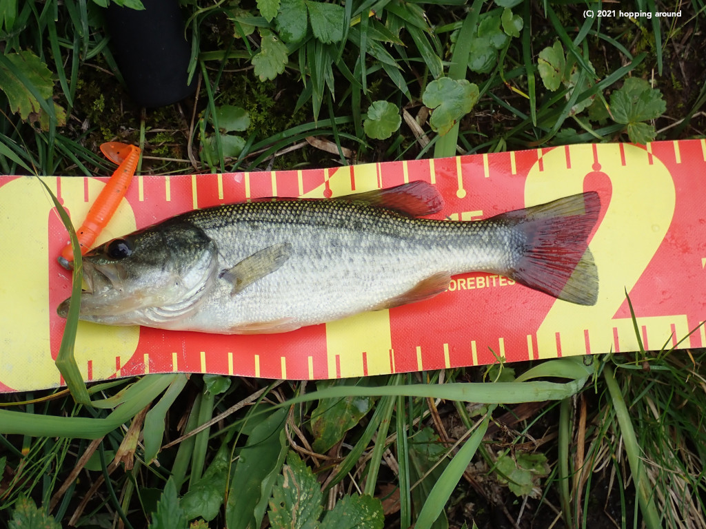 Top Tweets For Grassminnow Instalker