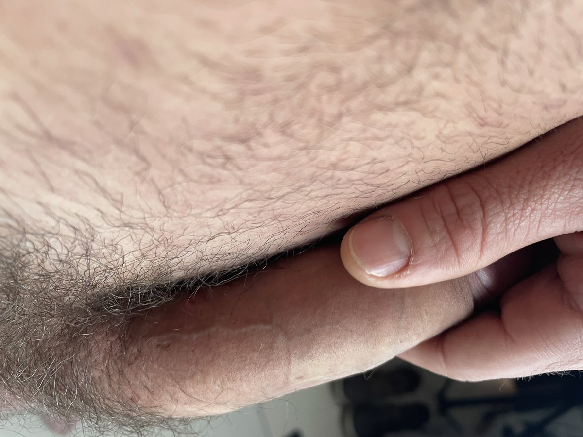 ScottRiversZA's tweet photo. Some more pics from the weekend - looking a little scruffy... How do you guys feel about the hair? Time for some manscaping maybe?
https://t.co/RBoywtuGlj
#manscape #ScottRivers #NSFW #SouthAfrican #Gay #GayFitness #MorningGlory #SundayVibes https://t.co/AW8JExdctF