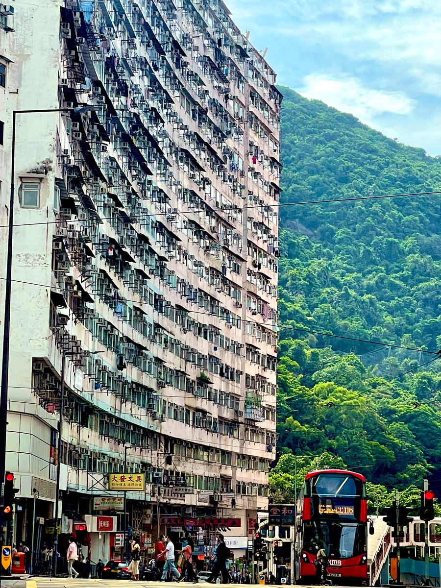 ワイの家に帰宅