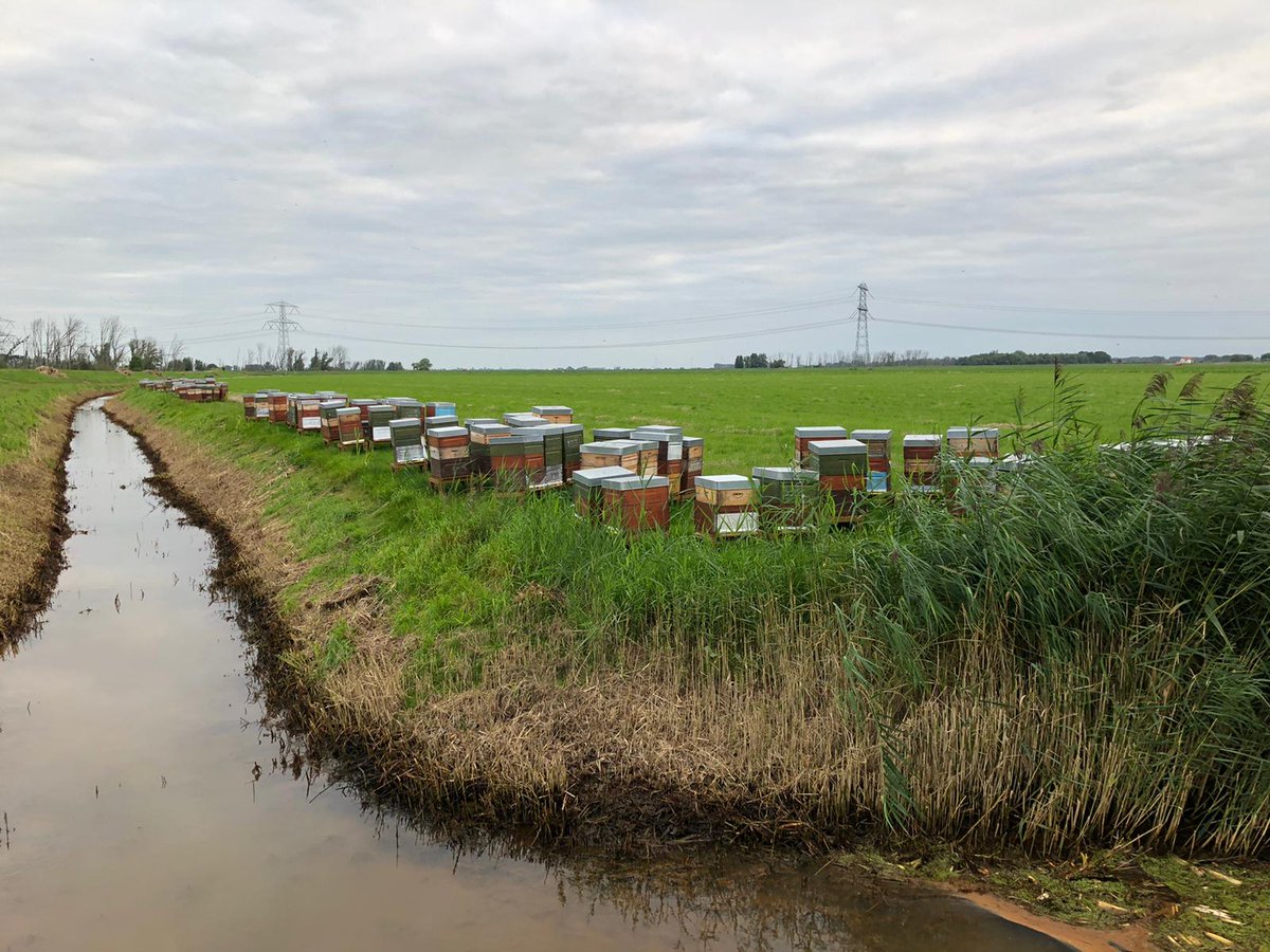 Vroege Vogels tweet media