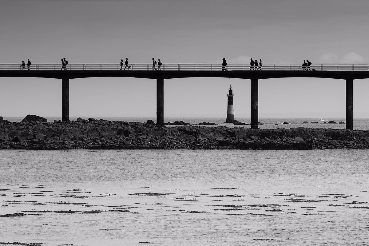 DarmorikL's tweet photo. #Roscoff, Août 2021.

#Bretagne #Finistère #mer #sea https://t.co/ZLrRtzfeD9