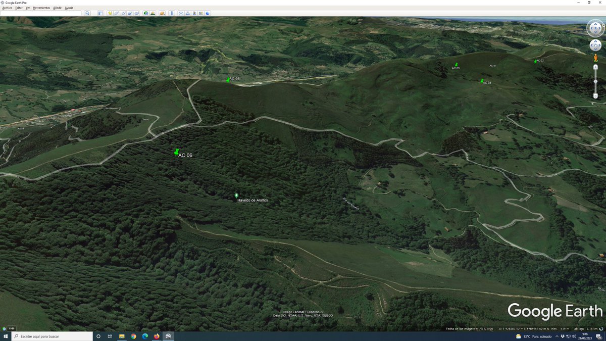 Dice el EsIA del PE Acebo "se han ubicado para minimizar la afección sobre la vegetación"
Realidad: el aerogenerador 6 esta ubicado totalmente dentro del Hayal de Aloños