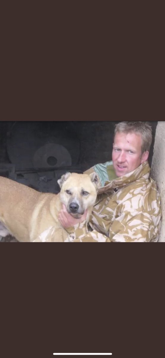 I am delighted to announce that I have just had confirmation that @PenFarthing and the animals@of @Nowzad have now landed safely on UK soil🙏🐾
#OperationArk