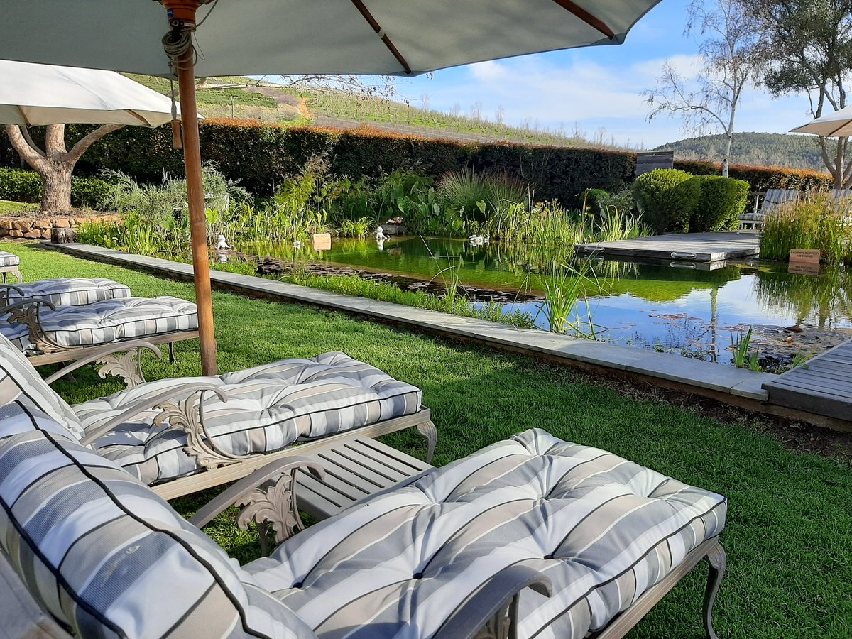 CliffordRobots's tweet photo. Hosted by #Simondium's fantastic @AngalaBoutique this weekend. New and nearby sights: a glass art workshop, brewery and distillery, @PaintedWolfWine and market at @PlaisirEstate https://t.co/w7mqK4lidU