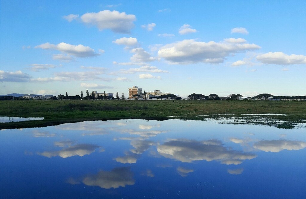 cyanblueseas's tweet photo. Perfect clouds βοΈβοΈβοΈ
#cloudscapes #landscapephotography #reflectionphotography #52frames_nostalgia #wheretheskymeetstheland https://t.co/U3IpOwiunN https://t.co/Q83WGpe9Pj