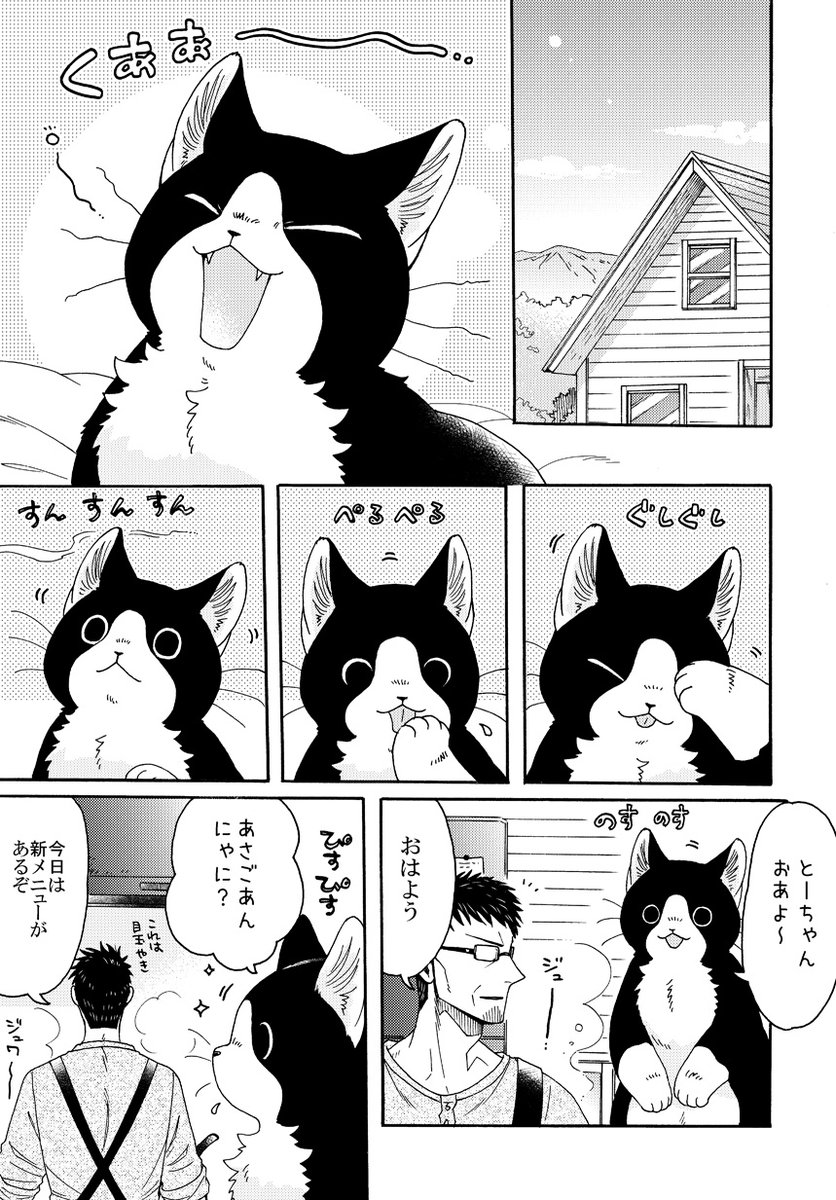 ねこまたと すこーん🐱🫐 