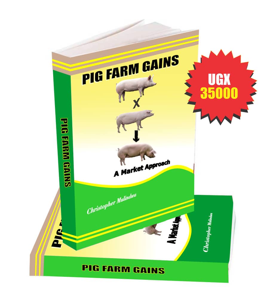 PRIME PORK (U) LTD tweet media