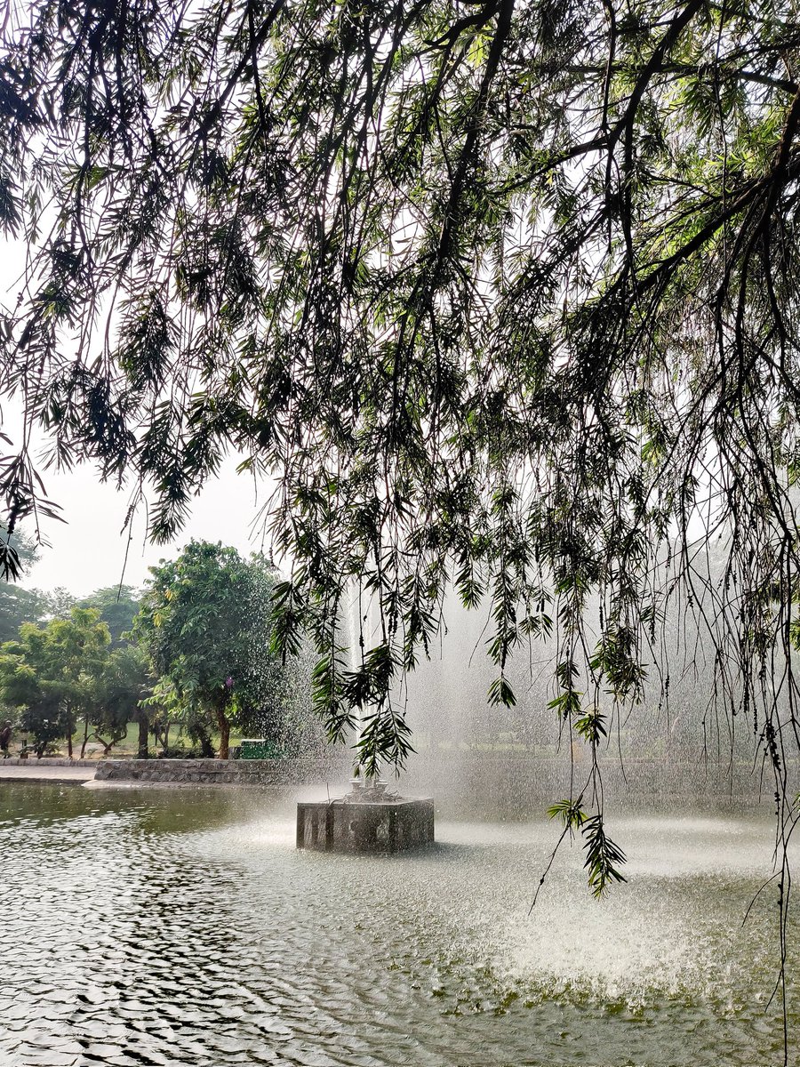 Manoj_Kumar04's tweet photo. I just need green. I need to wake up, walk and see grass, tree and water...☘️🌿🍀💦💦💦🚶🏽♂️🚶🏽♂️🚶🏽♂️
#sundayvibes #sundaywalk
#20k #green #watersounds #peaceful #mistyfountain #beautiful #beautifulclicks #PicOfTheDay #PhotoOfTheDay #mobilephotography #OnePlus #walker #photography https://t.co/YcSyLLk8OG