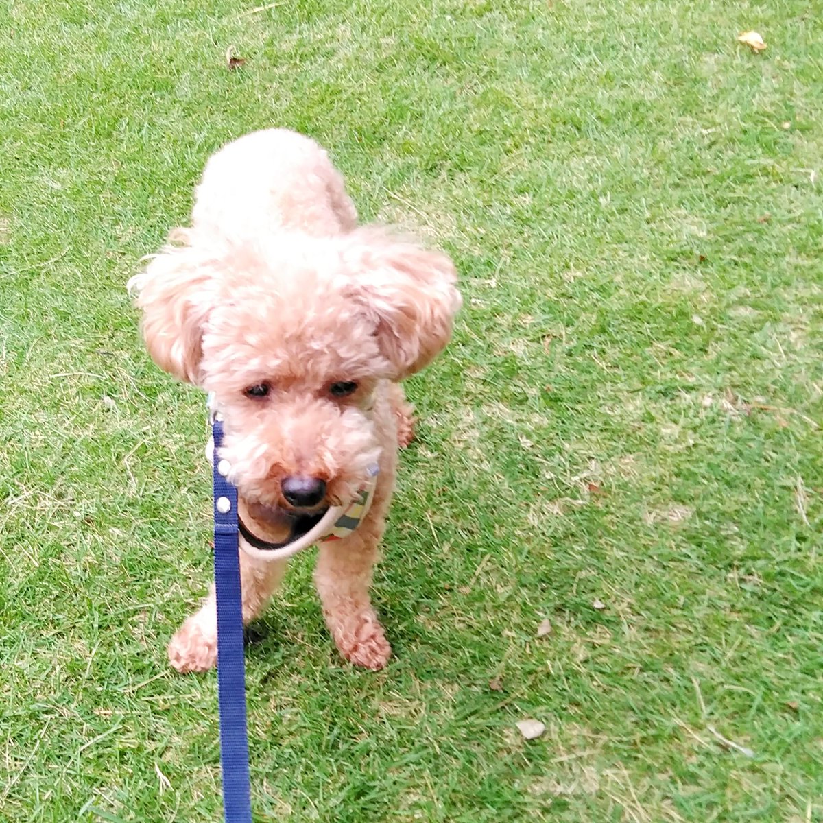 Home Logogala Recent Activity Zompx Xww Oal Wolvs Tdeu Tjbg Vrdm Efnvq Iz Cz Goh Ahht Xfco Dtedu Ai Xftg Jkmp Lxx Sqnb Un Vsy Scz Bk Zj Ssi Boe Pni Nomp Vytng Sq Aqzte Dwr Kh Yowj Ikle Yovrs Vq Hjce Rmnk Vat Krft Bxj Ygql Omavm