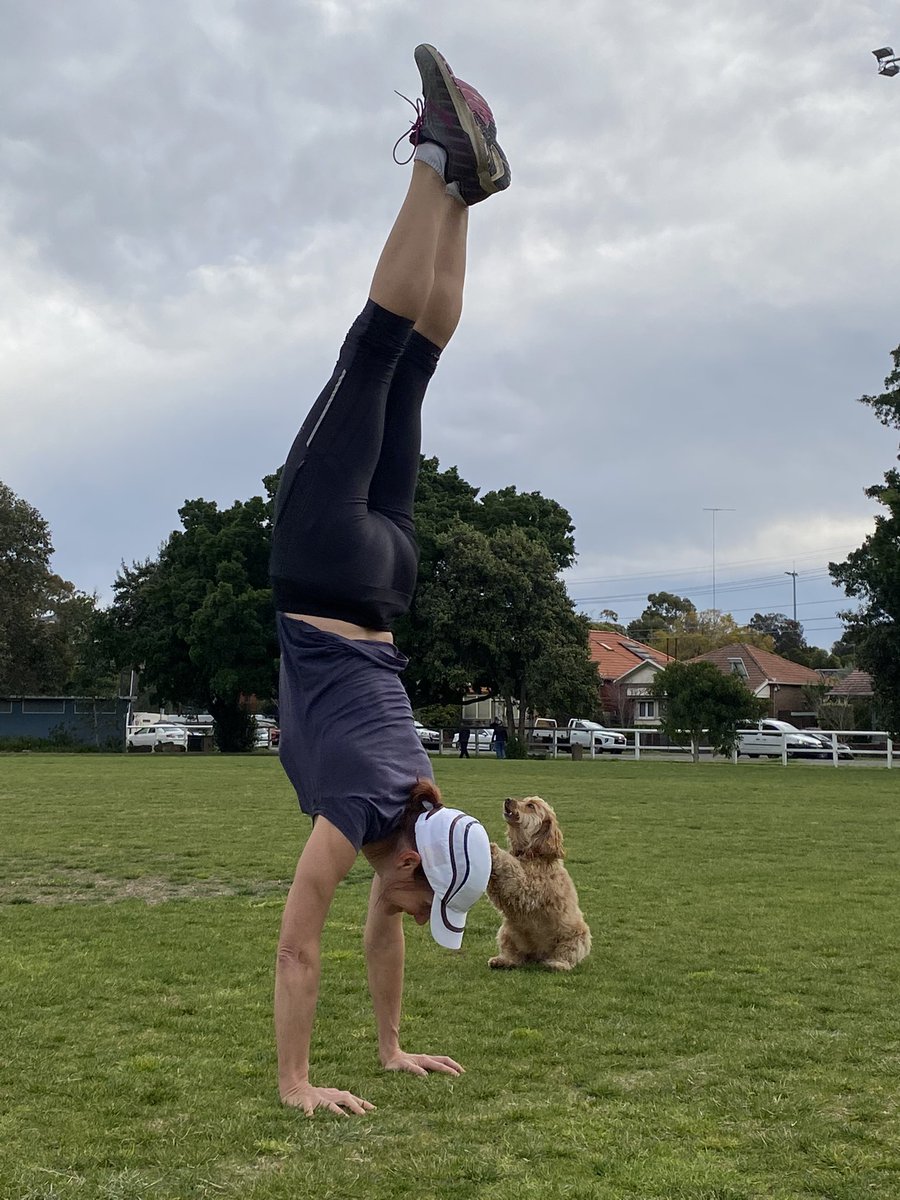 Prof Anne Tiedemann tweet media