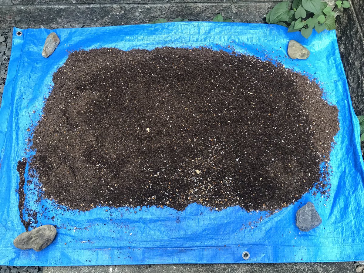 プランター菜園