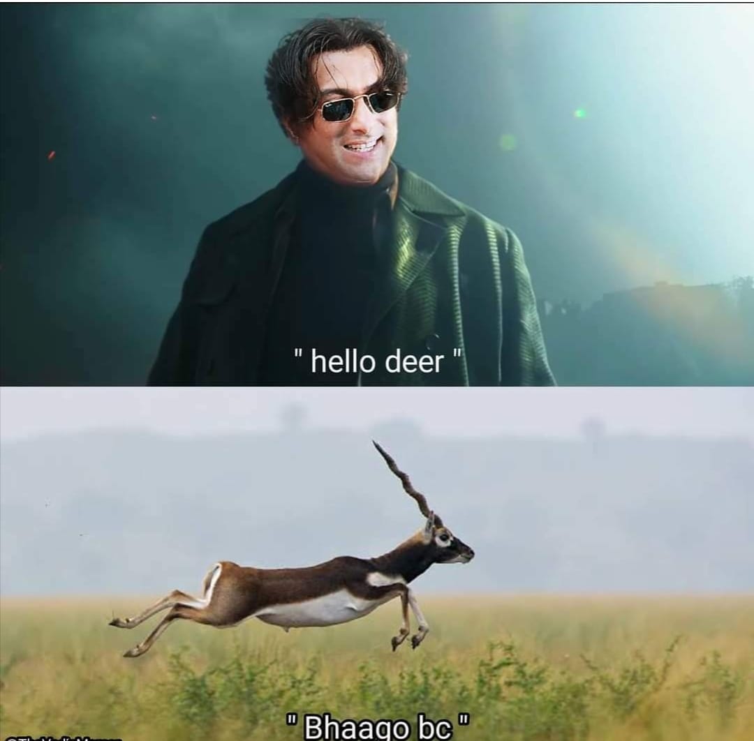 Shivu_Memes's tweet photo. Noc https://t.co/KUPTRdhygz