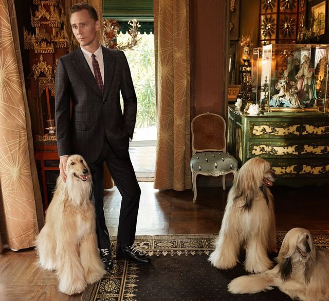 TWHDAILY's tweet photo. Tom for Gucci - September 26, 2016 https://t.co/2yhYzmXg4B