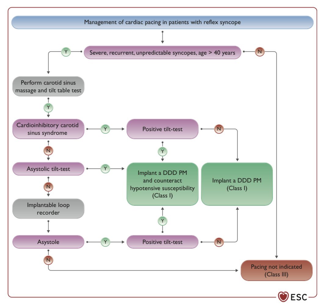 🚨 New Guideline Alert 🚨

#ESCCongress #ESCGuidelines 

2021 ESC Guidelines on cardiac pacing and cardiac resynchronization therapy

academic.oup.com/eurheartj/adva…

@escardio @SilCastelletti @mirvatalasnag @serhandr @leventpy @MDTolgaAksu @DavidDuncker @ozantanik @mertilkerh @hect2701