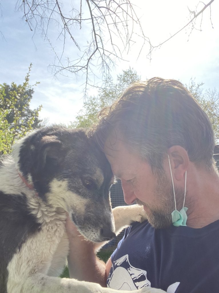 UPDATE: Pen Farthing & his animals landed safely at Heathrow this morning. I understand every single one of them survived the journey from Kabul via Uzbekistan. Pen is now in transit…CONT’D… #PenFarthing #Nowzad