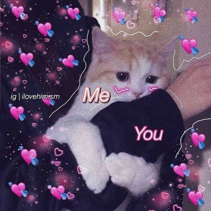 ||| Mr.N |𝘽𝙪𝙩𝙩𝙚𝙧 tweet media