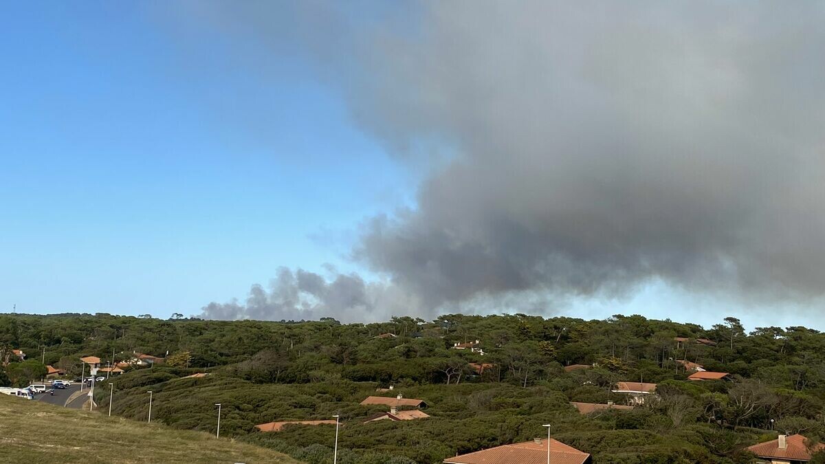 leparisien_fdiv's tweet image. Incendie dans les Landes : le feu éteint à Mimizan, celui de Seignosse sous surveillance
➡️ l.leparisien.fr/h6CL